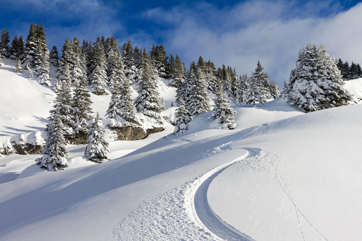 montagne raquette glisse valmorel
